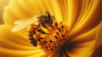 Discover the Best Nectar Plants for a Thriving Bee Habitat