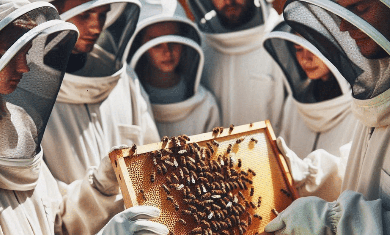 Innovative Techniques in Honey Production Boosting Efficiency and