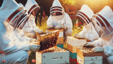 Sustainable Honey Bee Colony Management for Long Term Hive Health