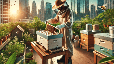 Urban Beekeeping for Beginners How to Keep Bees in the Heart of the City