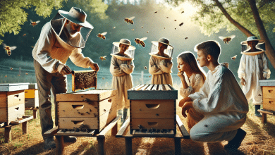 Why Beekeeping for Beginners Courses Are Essential for New Beekeepers