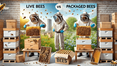 Live Bees vs. Packaged Bees – Which is the Best Option for Your Apiary