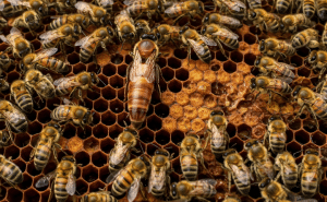 Investing in Quality: Building a Strong Foundation