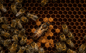 The Ripple Effect: Quality Investment Beyond Profit