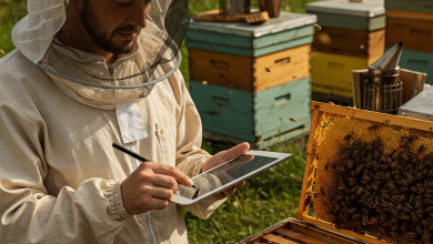 How to Document and Share Your Experiences with New Queen Bees