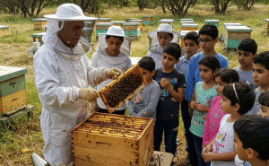 Educating Others about Queen Bees