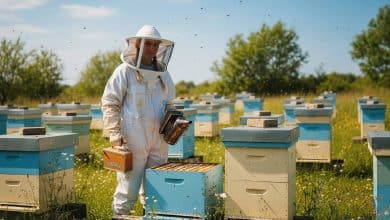 Complete beginners beekeeping guide denmark 2025