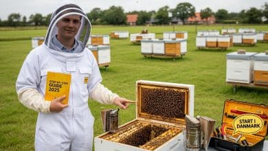 how to start beekeeping denmark A Step‑by‑Step 2025 Tutorial