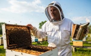 Handling Challenging Situations