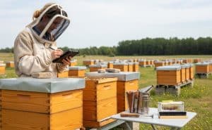 Post-Inspection Procedures