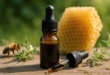 Propolis Extract Concentrate – Uses, Benefits, and Where to Buy